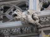 Click to see IMG_3877c.jpg