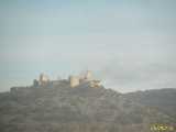 Click to see IMG_3923c.jpg