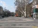 Click to see IMG_3991c.jpg