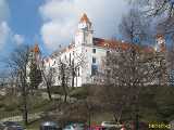 Click to see IMG_4020c.jpg
