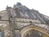 Click to see IMG_4109c.jpg
