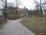 Click to see IMG_4117c.jpg