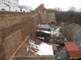 Click to see IMG_4128c.jpg