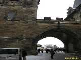 Click to see IMG_4249c.jpg