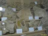 Click to see IMG_4401c.jpg