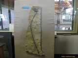 Click to see IMG_4402c.jpg