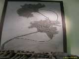 Click to see IMG_4453c.jpg