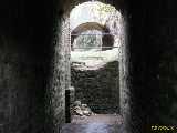 Click to see IMG_4769c.jpg
