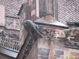 Click to see IMG_4865c.jpg