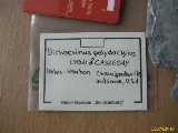 Click to see IMG_4915c.jpg