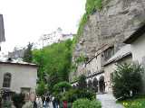 Click to see IMG_4991c.jpg