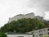 Click to see IMG_5003c.jpg