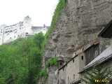 Click to see IMG_5066c.jpg