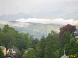 Click to see IMG_5177c.jpg