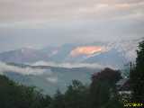 Click to see IMG_5184c.jpg