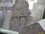 Click to see IMG_5261c.jpg