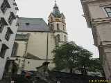 Click to see IMG_5450_lznc.jpg