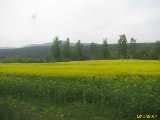 Click to see IMG_5551c.jpg