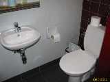 Click to see IMG_5563c.jpg
