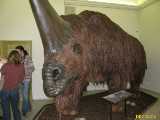 Click to see IMG_5578c.jpg