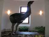 Click to see IMG_5581c.jpg