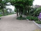 Click to see IMG_5656c.jpg