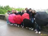 Click to see IMG_5915c.jpg