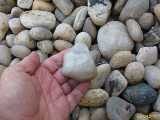 Click to see IMG_1200c.jpg