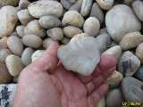 Click to see IMG_1201c.jpg
