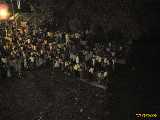 Click to see IMG_1223c.jpg