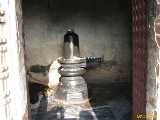 Click to see IMG_1245c.jpg