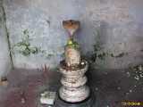 Click to see IMG_1278c.jpg
