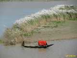 Click to see IMG_1298c.jpg