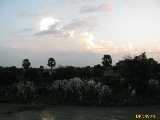 Click to see IMG_1316c.jpg