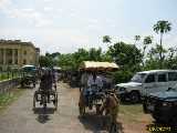 Click to see IMG_1382c.jpg