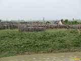 Click to see IMG_1458c.jpg