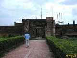 Click to see IMG_1540c.jpg