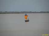Click to see IMG_1645c.jpg