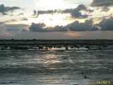 Click to see IMG_1695c.jpg