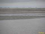 Click to see IMG_1716c.jpg