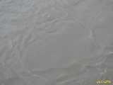 Click to see IMG_1719c.jpg