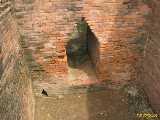 Click to see IMG_1820c.jpg