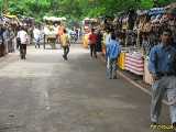 Click to see IMG_1830c.jpg