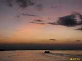 Click to see IMG_1954c.jpg