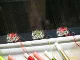 Click to see IMG_2150c.jpg