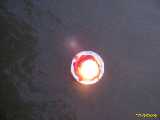 Click to see IMG_2250c.jpg