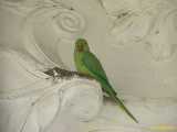Click to see IMG_2463c.jpg