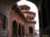 Click to see IMG_2549c.jpg