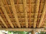 Click to see IMG_2779c.jpg