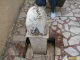 Click to see IMG_2886c.jpg